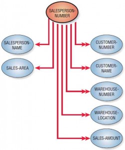 A data model diagram shows that in the unnormalized relation, the SALESPERSON-NUMBER has a one-to-many association with some attributes.