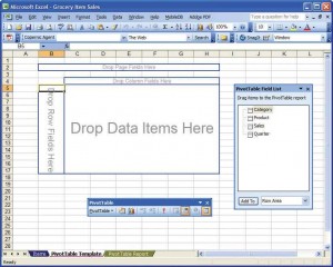 A pivot table template can make it easier for users to see information displayed in different ways