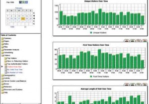 A report comparing statistics on visitors generated by Commerce Trends (from Webtrends Corporation).