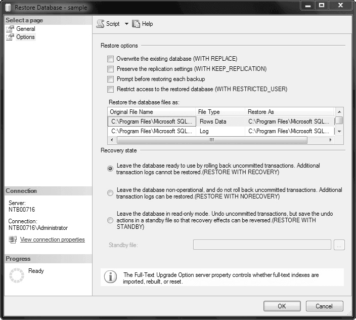 The Restore Database dialog box, Options page