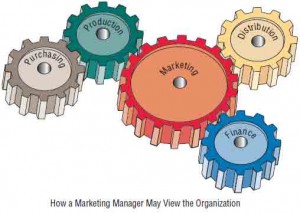A depiction of the personal perspective of functional managers shows that they feature their own functional area as central to the organization.