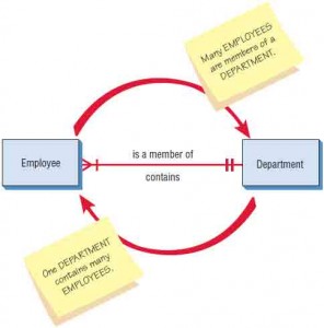 Examples of different types of relationships in E-R diagrams.