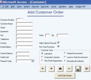The designer has many GUI components that allow flexibility in designing input screens for the Web or other software packages. This example is from Microsoft Access.