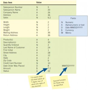 Metadata includes a description of what the value of each data item looks like.