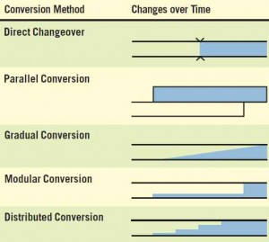 Five conversion strategies for information systems.