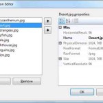 The Images Collection Editor of ImageList Control