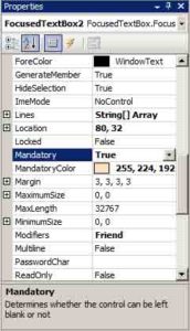 Custom properties of the FocusedTextBox control in the Properties window